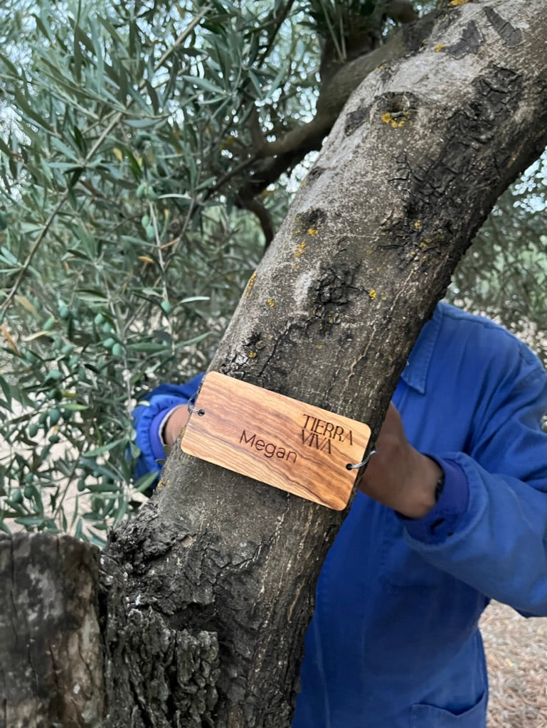 Adopt a centenary olive tree (500ml bottle included)